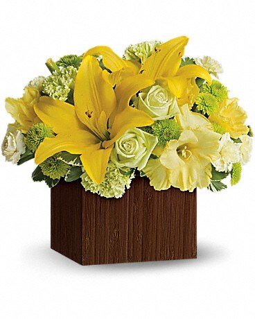 Deluxe size, 12 and a half inches height and 13 and a half inches wide.