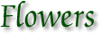 Order flowers online