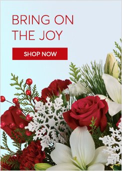 Send Christmas Flowers