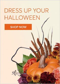Send Halloween Flowers