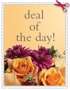 Send The Best Deal of the Day - Biggest Freshest Arrangement