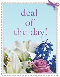 Send The Best Deal of the Day - Biggest Freshest Arrangement