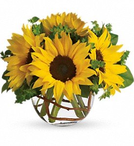 Sunny Sunflowers in Reading PA, Heck Bros Florist