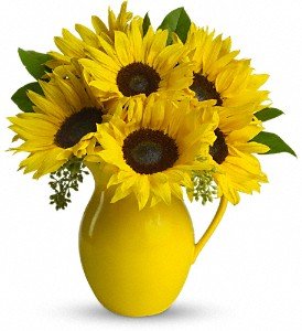 Teleflora's Sunny Day Pitcher of Sunflowers in Reading PA, Heck Bros Florist