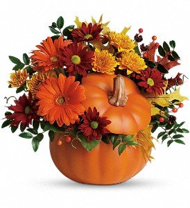 Teleflora's Country Pumpkin in Reading PA, Heck Bros Florist