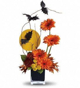 Teleflora's Boo-tiful Bats in Reading PA, Heck Bros Florist