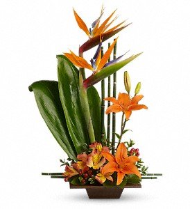 Teleflora's Exotic Grace in Reading PA, Heck Bros Florist