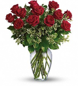 Always on My Mind - Long Stemmed Red Roses in Reading PA, Heck Bros Florist