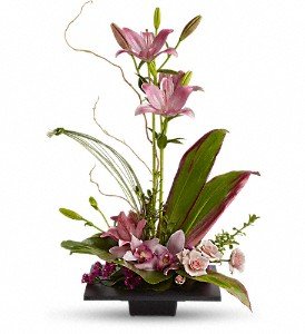 Imagination Blooms with Cymbidium Orchids in Reading PA, Heck Bros Florist