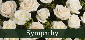 Sympathy Occasion Tile